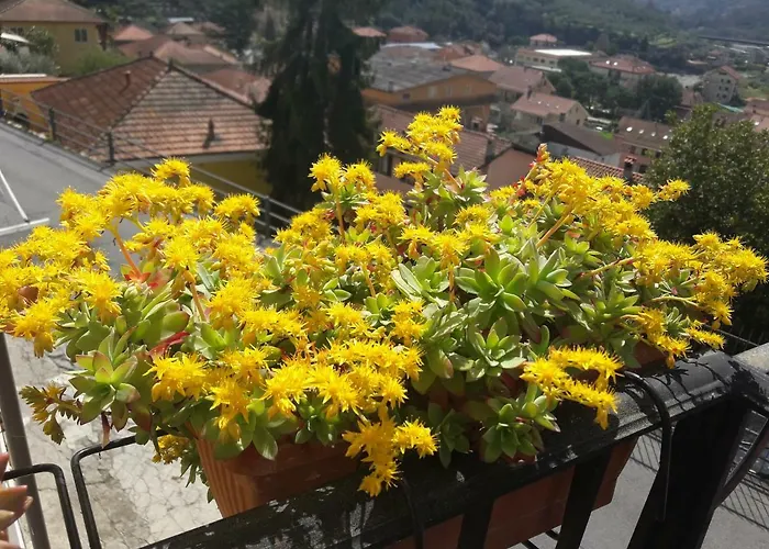 Апартаменты Casa Sole *