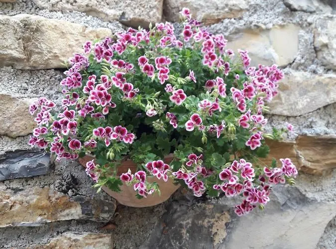 Апартаменты Casa Sole